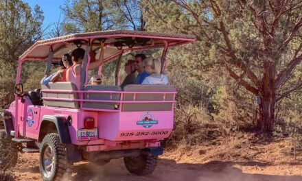 Pink Adventure Tours: Create Memories That Will Last a Lifetime!